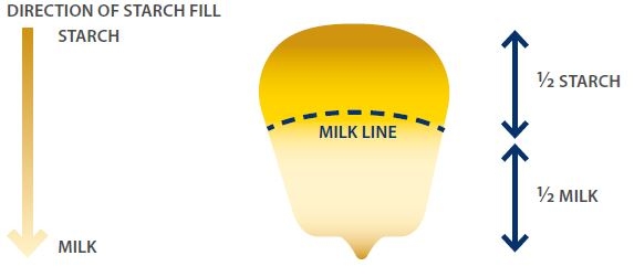 milk line monitoring 