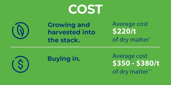 Average cost of dry matter