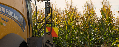 PAC 492 maize hybrid